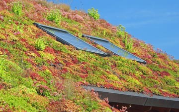 Llandinam living roof systems