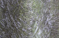 Llandinam fibreglass roof work